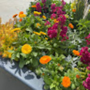 Meet your Posher, Natalie